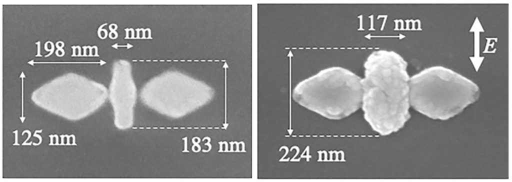 Scanning electron microscope images of the nano-butterfly structure before (left) and after (right) laser irradiation. Semiconductor zinc oxide has crystalized on the surface of the gold nanorod. (Fujiwara H., et al, Nano Letters. December 23, 2019.)