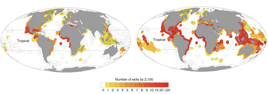 The number of species shifting out of each exclusive economic zone (EEZ) by the year 2100 under a moderate (RCP 4.5, left) and more severe (RCP 8.5, right) greenhouse gas emissions scenario. (Kimberly L. Oremus et al., Nature Sustainability. February 24, 2020)