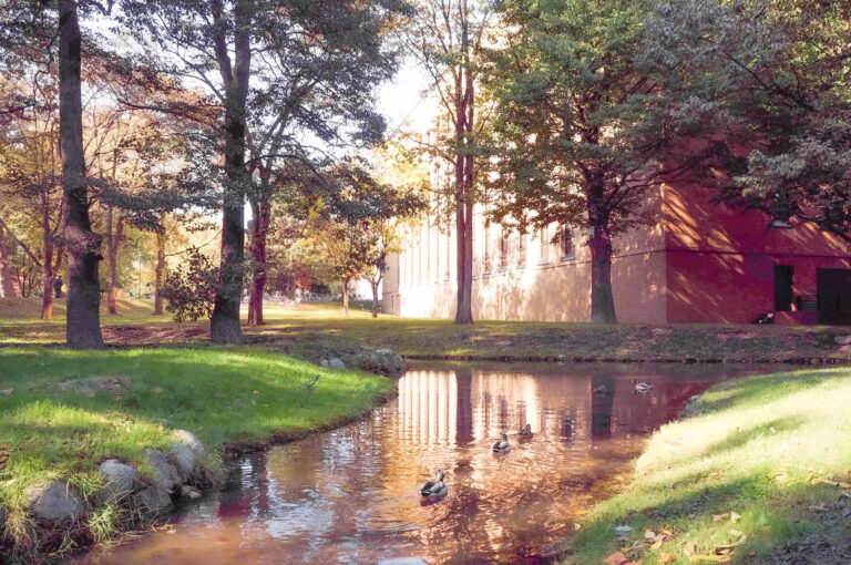 Hokkaido University is in top 100 of THE Asia University Rankings 2021