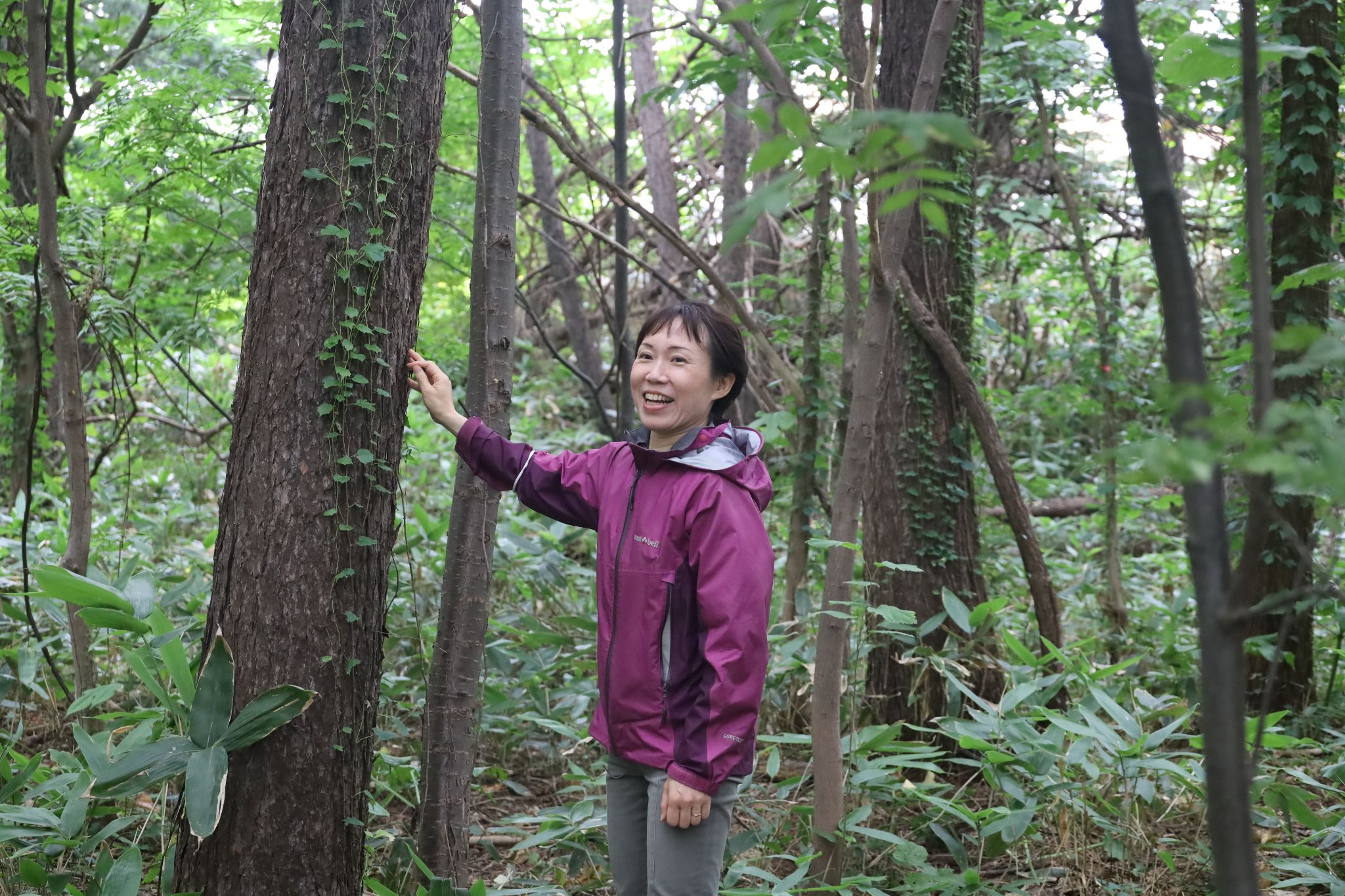 A photo of Associate Professor Junko Morimoto of the Research Faculty of Agriculture, Hokkaido University at the Sapporo Experimental Forest. Photo by Aprillia Agatha Gunawan.