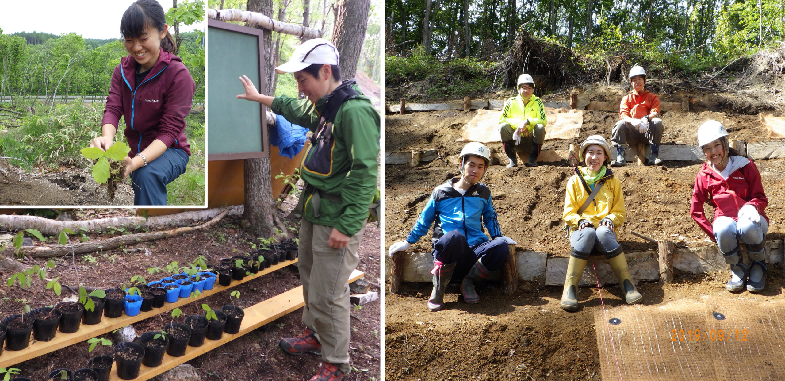 A photo collage showing reforestation activities after the 2018 Hokkaido Eastern Iburi Earthquake. Growing seeds and seedlings to return them to the affected forest (left) and students of the School of Agriculture who worked for the reforestation (right). (Photos by Junko Morimoto)