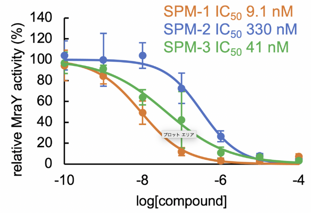 A graph showing the potency of the three sphaerimicin analogs developed in this study. SPM1 is most potent, while SPM2 is least potent.