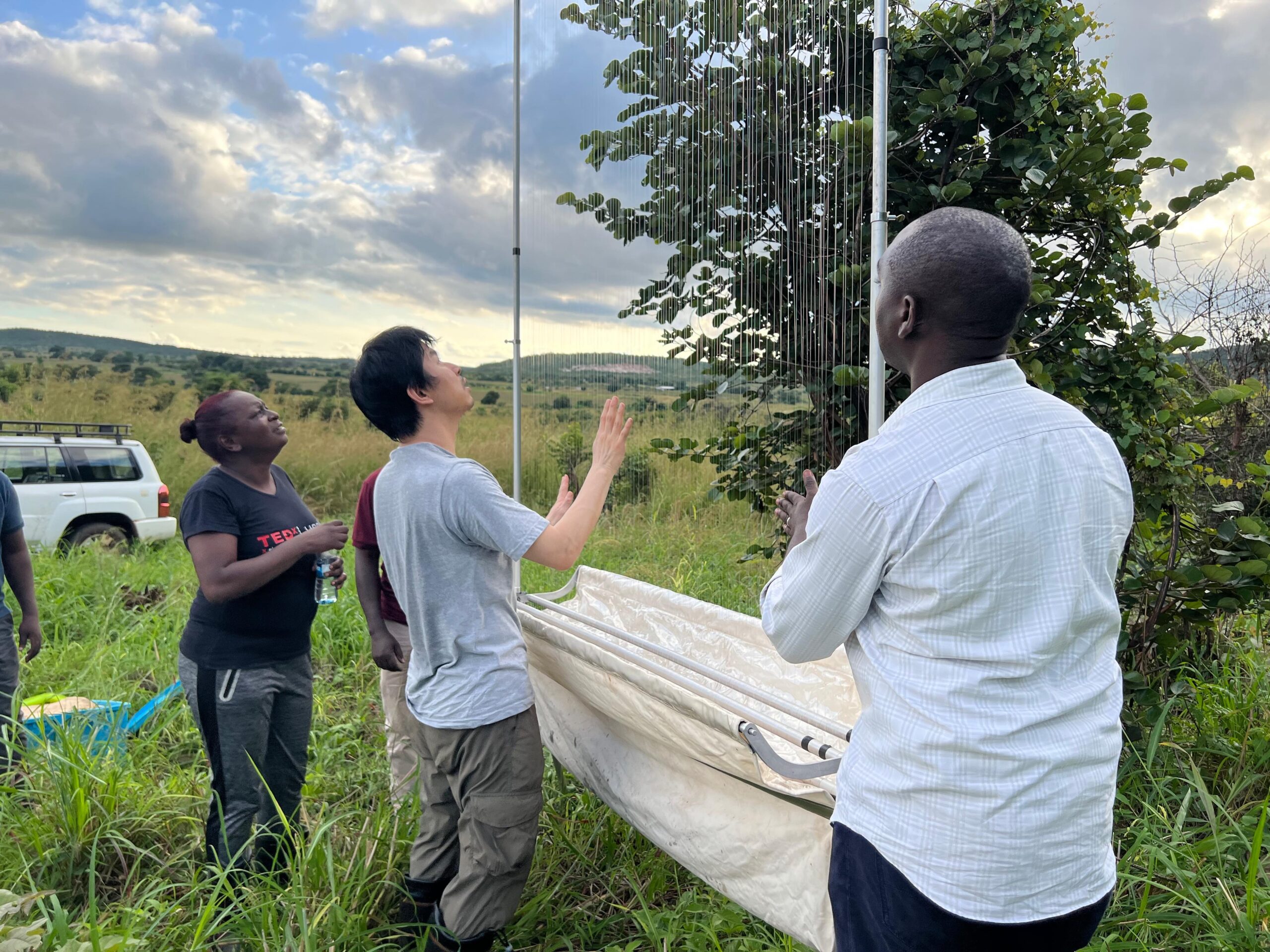 A photo of researchers setting up a large piece of equipment designed to catch bats in flight. Photo taken in Zambi, provided by Masahiro Kajihara.