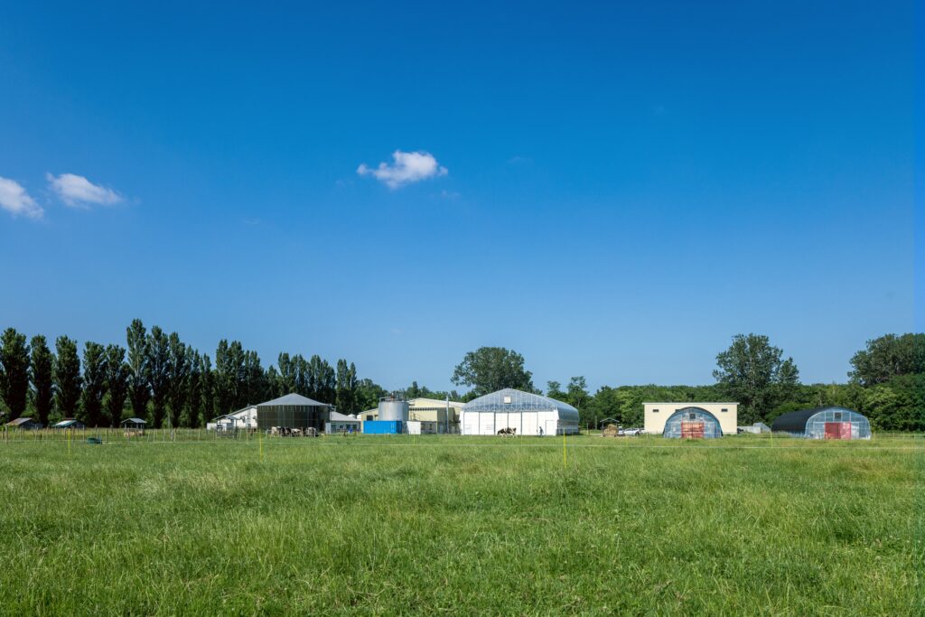 Photo of a vast field where Hokudai Robust Center (Research and Education Center for Robust Agriculture, Forestry and Fisheries Industry) is active.