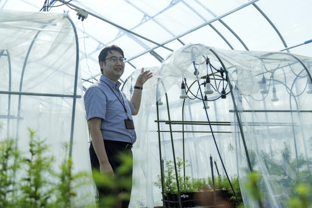 Kazuhiro Hirai, a Scientific Project Coordinator at Hokudai Robust Center, inside a greenhouse.