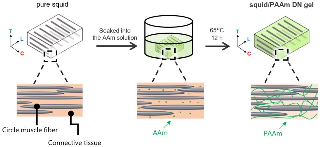 A schematic representation of the steps required for the preparation of the new composite material.