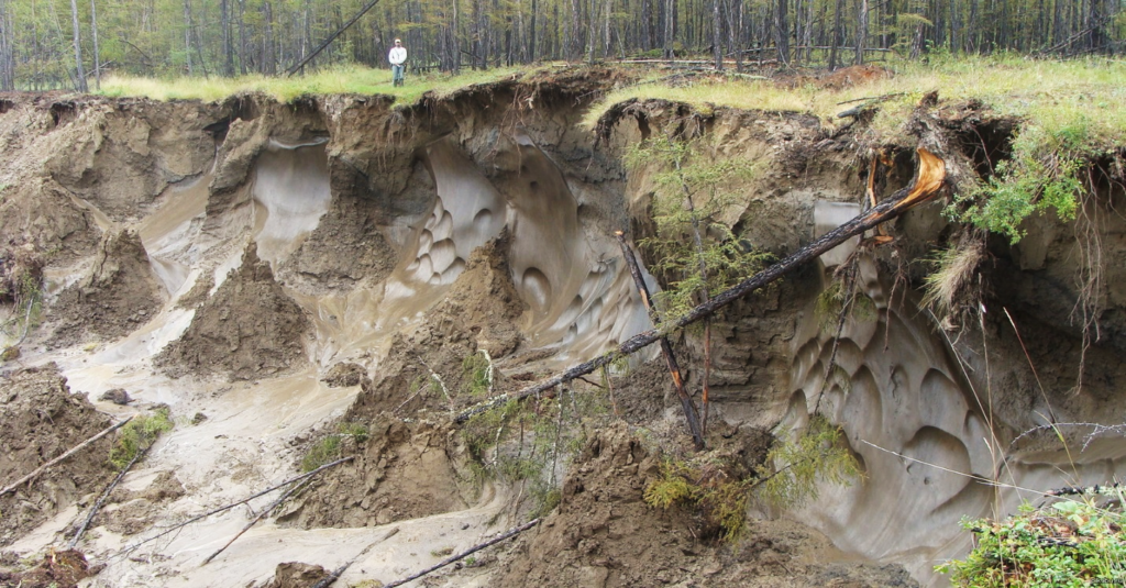 Thawing permafrost in the Sakha Republic (Photo by Alexander Kononov)