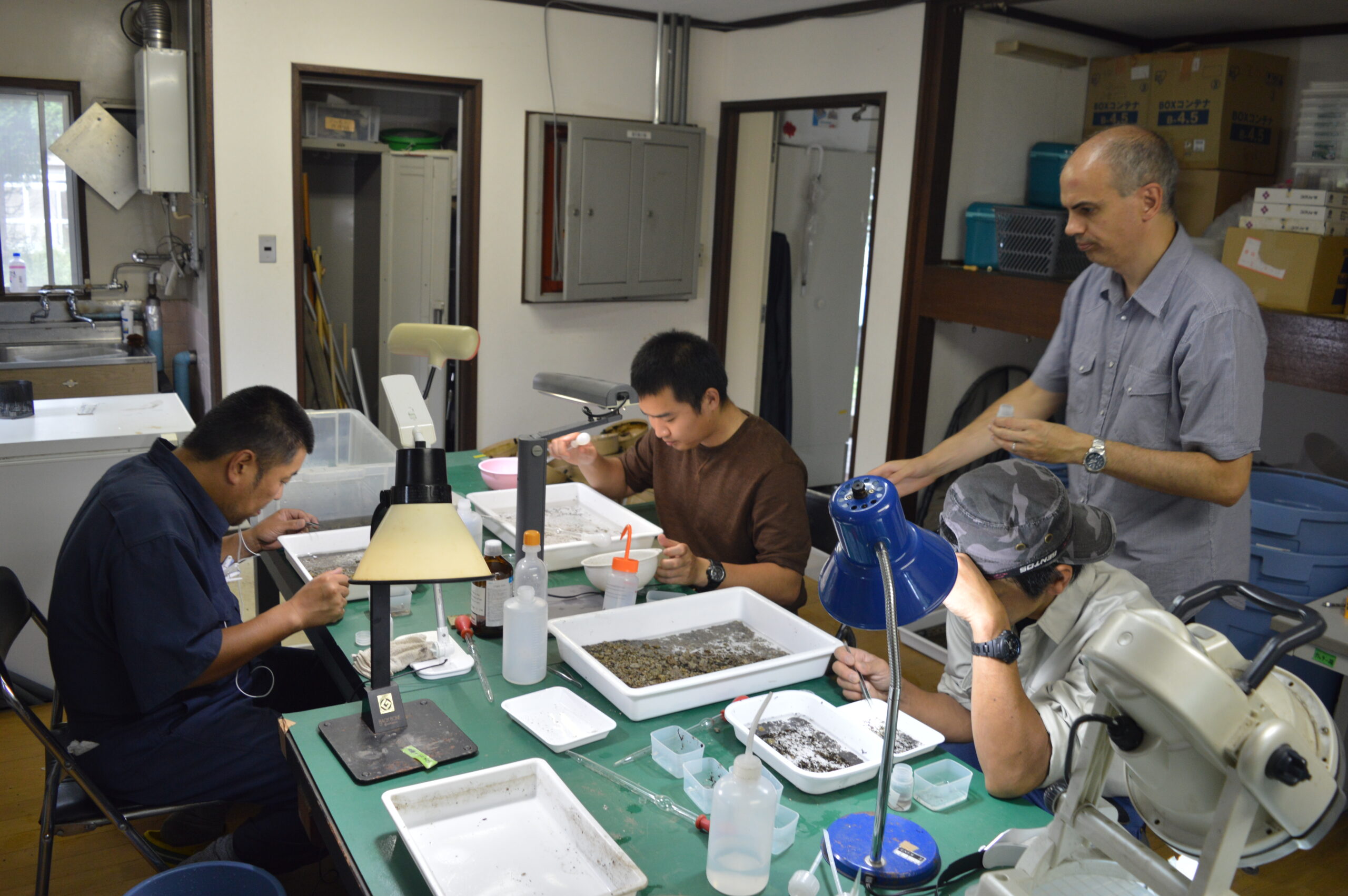 Sorting aquatic benthic invertebrates from samples in the lab for identification (Photo by Samuel Ross)