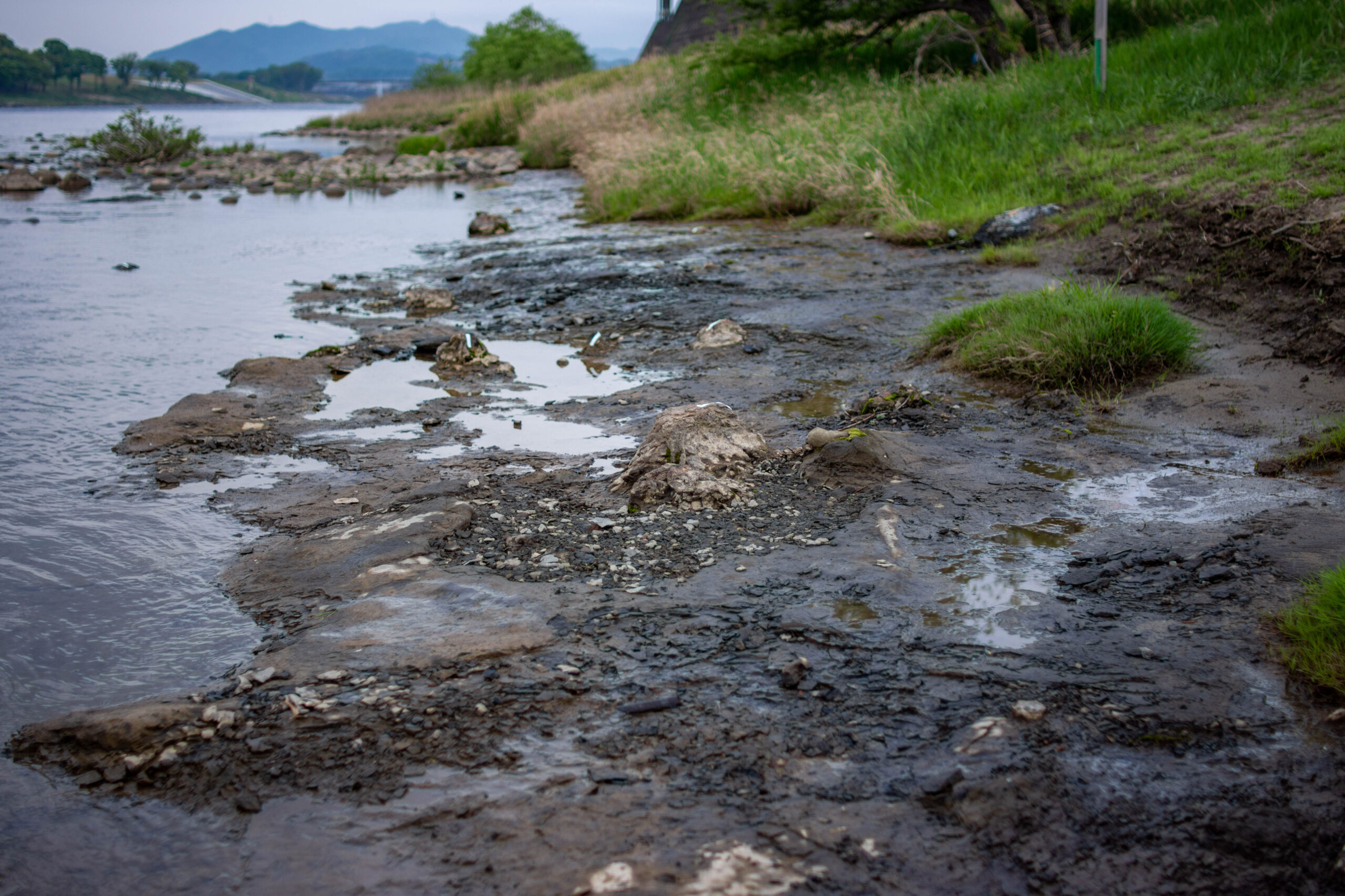 Exposed riverbed from where the fossils were found. (Photo: Toshihiro Yamada)
