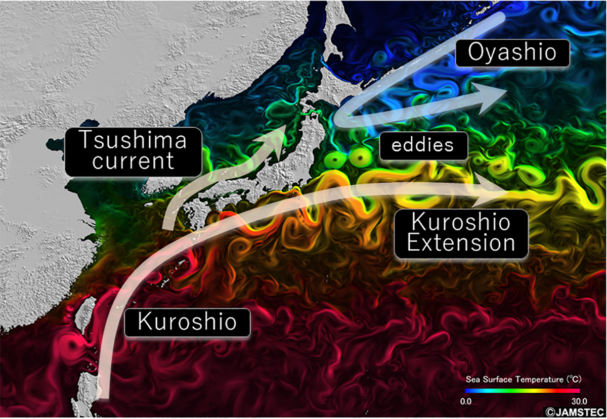 The collision of the Kuroshio (warm current) and the Oyashio (cold current) in the seas around Japan. There is an active exchange of heat and water between the ocean and the atmosphere in this area. (Image provided by JAMSTEC)