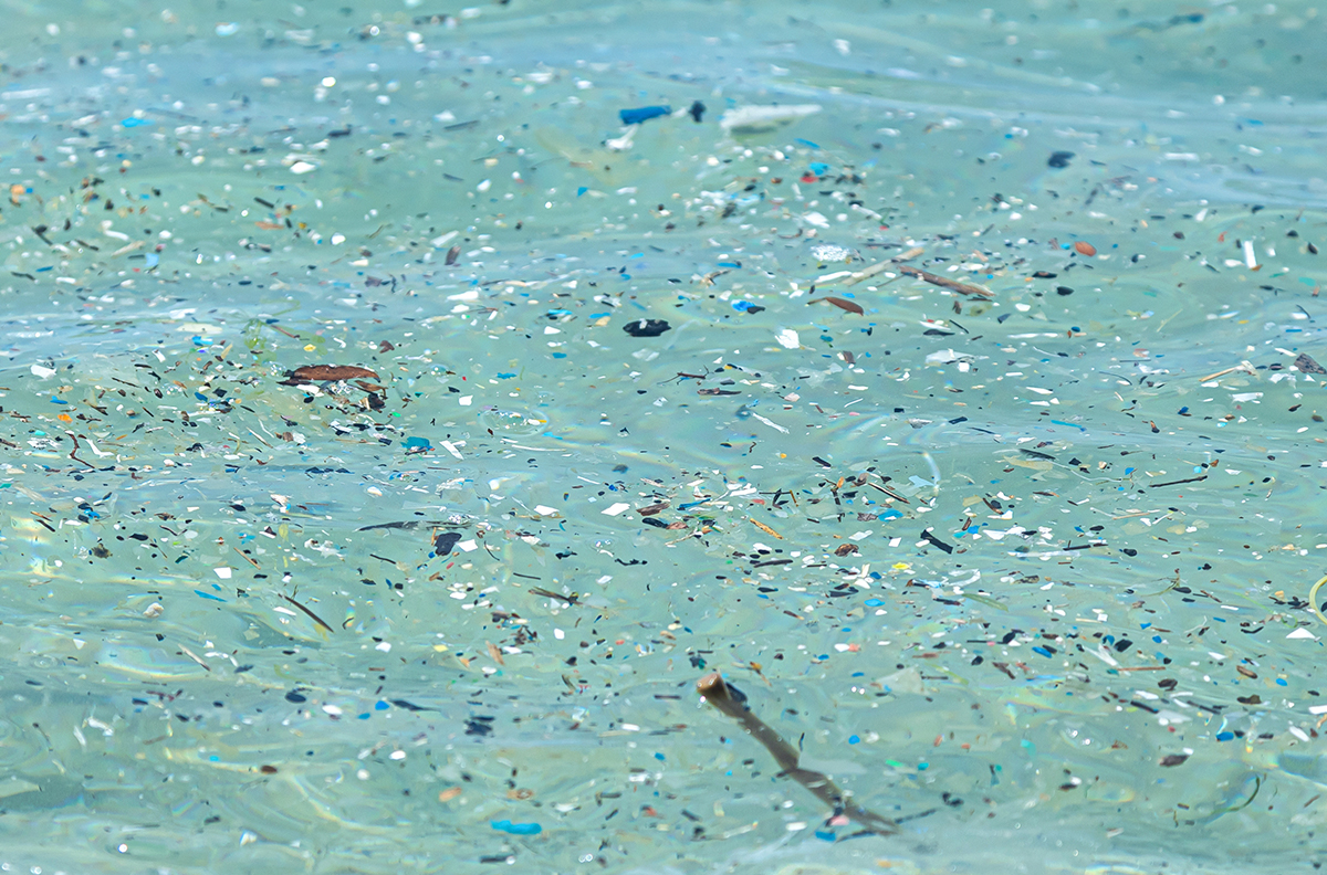 microplastic particles float in the ocean
