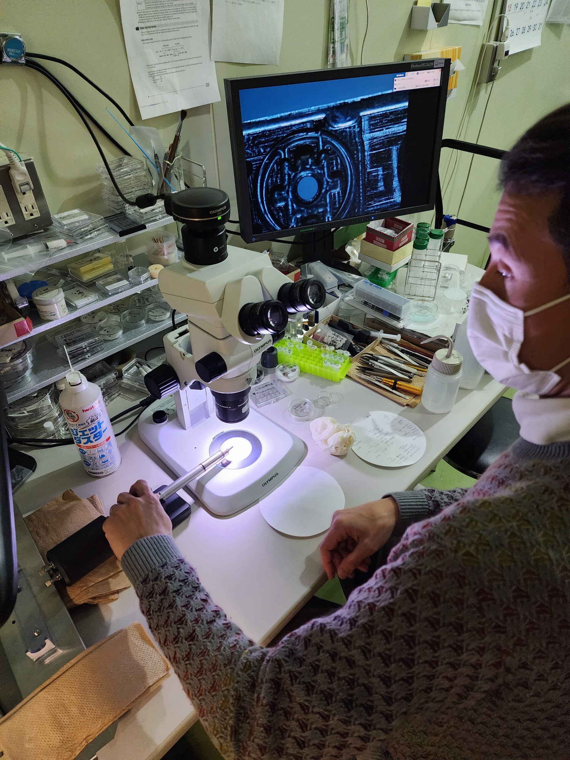 A man sits in front of a lab bench cluttered with research materials and tools. The man is facing a microscope. A light on the microscope illuminates a rod that the man is holding beneath the microscope. A tiny microchip, the sample holder for the transmission electron microscope, is attached to the end of the rod under the microscope's objective lenses. A nearby computer screen displays a magnified view of the sample holder, which looks like a silhouette of wires and compartments on a field of blue.