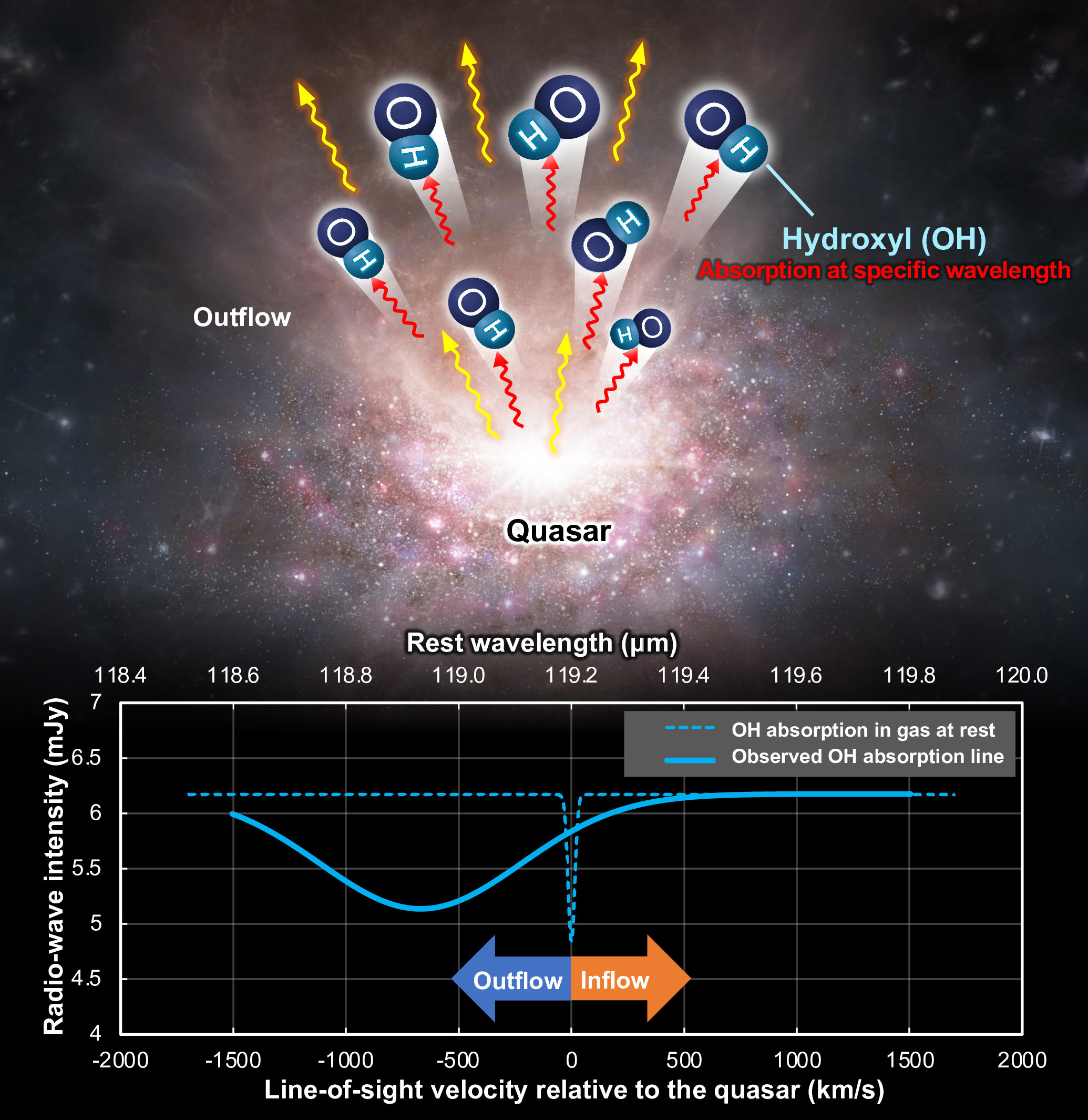 The molecular gas outflow from the quasar includes hydroxyl (OH) (top). Due to the motion of the molecular gas toward the observer, the OH peak in the absorption spectrum (bottom, dashed blue line) appears at a shorter wavelength (solid blue line), a phenomenon known as the Doppler effect. (Illustration: ALMA (ESO/NAOJ/NRAO) modified from Dragan Salak, et al. The Astrophysical Journal. February 1, 2024)