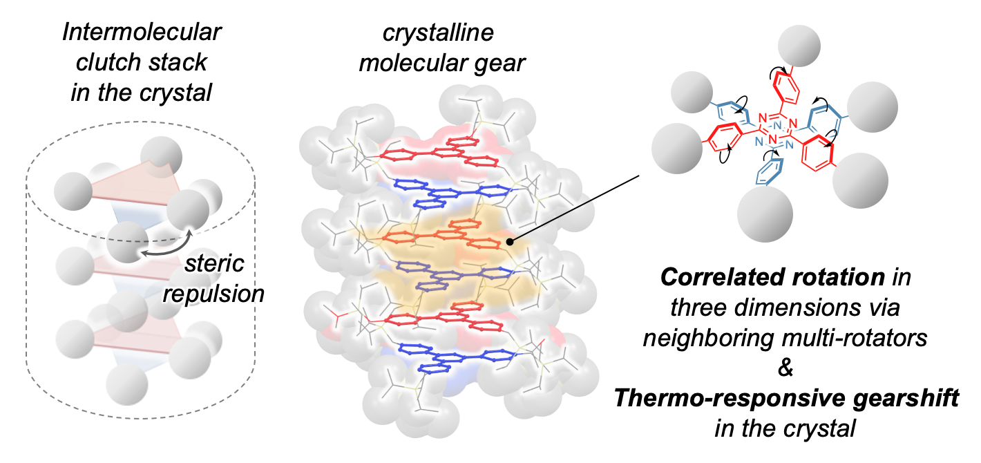 (Left) Schematic of the clutch stack arrangement. (Middle) Structure of the molecular gears in the clutch stack. (Right) Rotational direction of two adjacent molecular gears.  (Mingoo Jin, et al. Journal of the American Chemical Society. December 7, 2023)