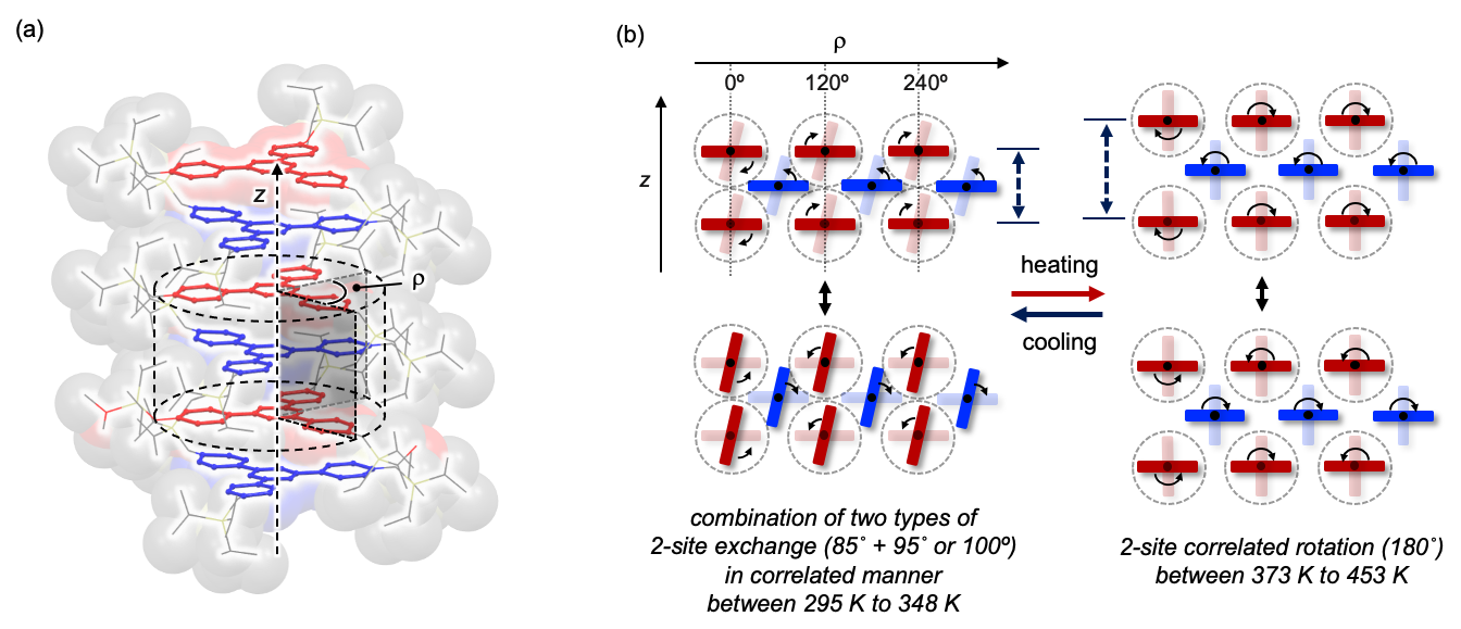 (a) Structure of the molecular gears in the clutch stack. (b) Side view of molecular gears showing the two modes of motion observed at lower temperatures (left) and higher temperatures (right). (Mingoo Jin, et al. Journal of the American Chemical Society. December 7, 2023)