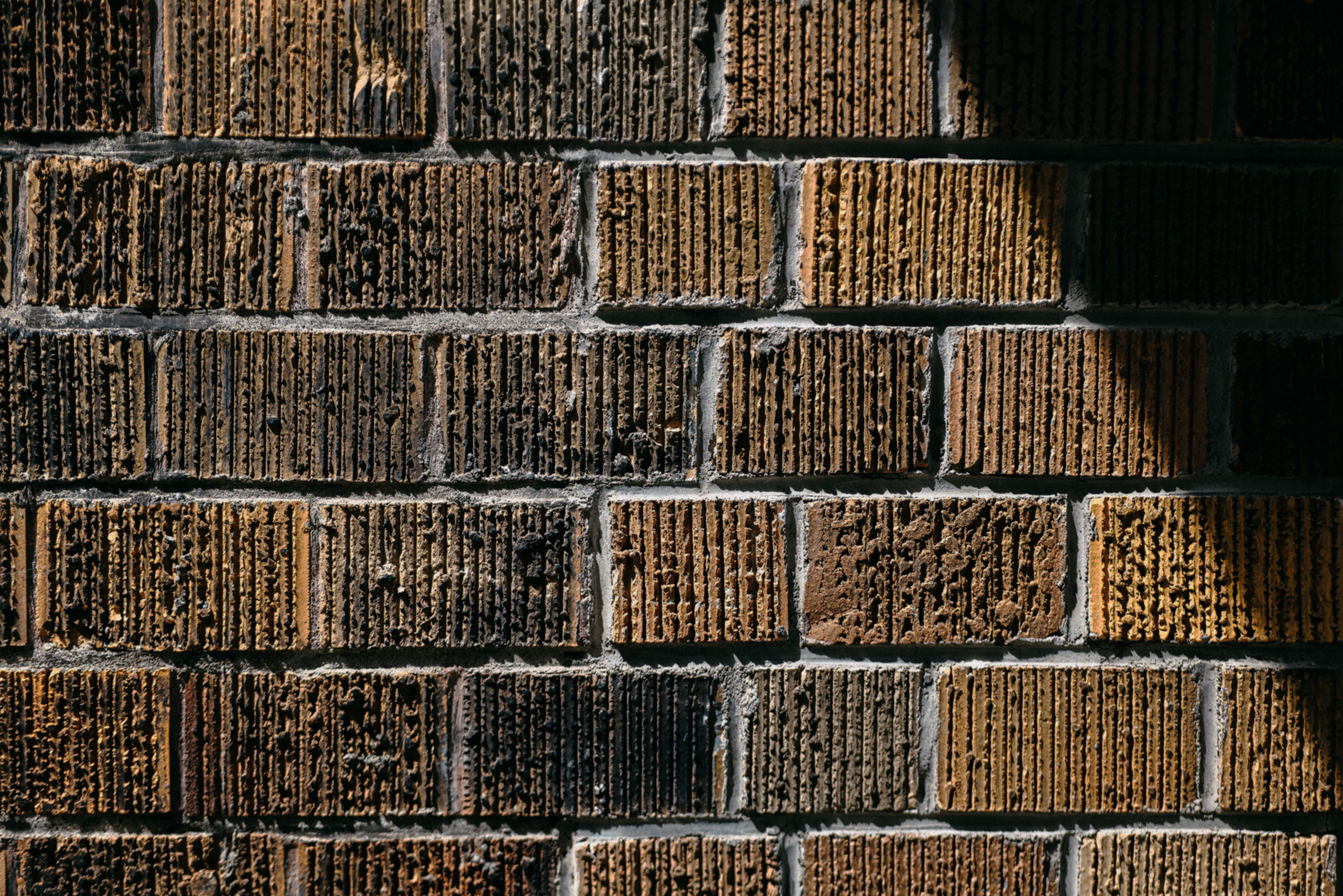 Selected Image