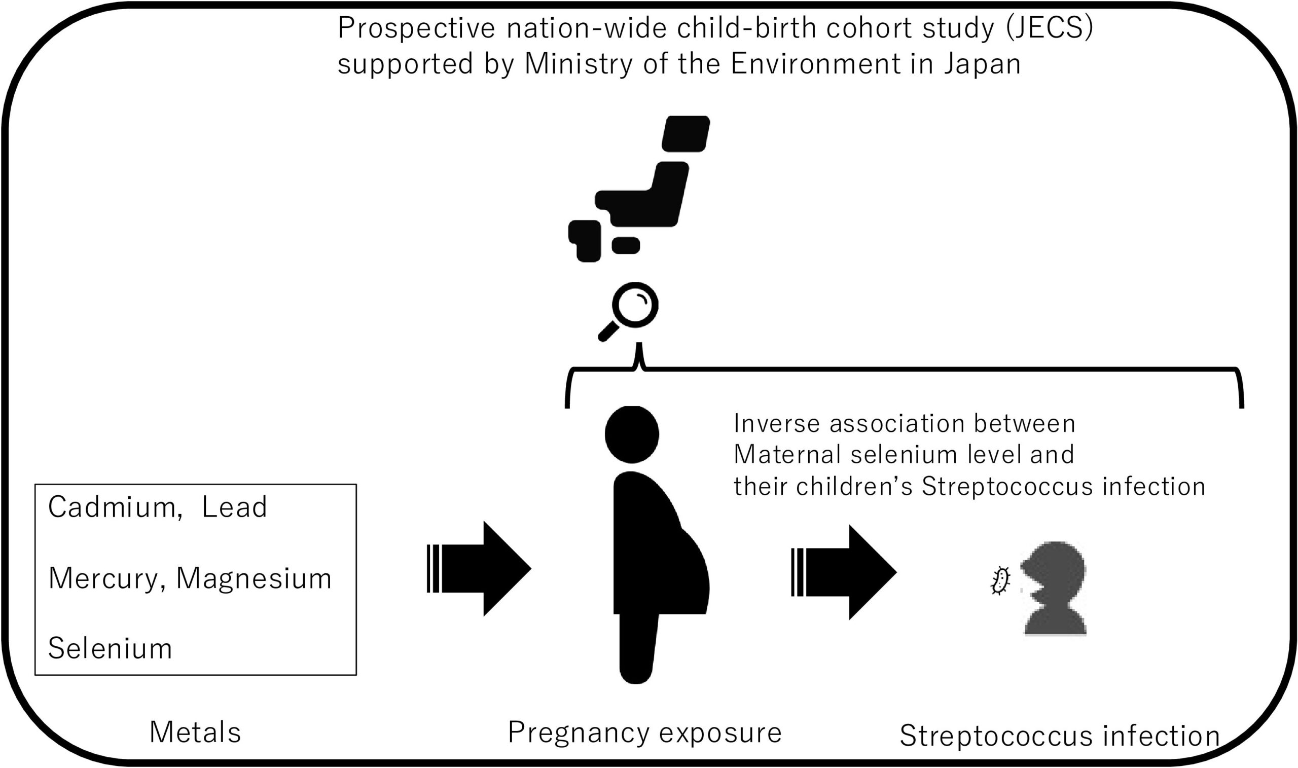 This study used data collected from the Japan Environment and Children’s Study to show an inverse association between maternal selenium levels during pregnancy and the risk of children developing streptococcal infections by ages 3 or 4. (Illustration: Hiroyoshi Iwata)