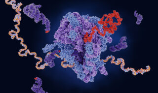 Shaping the future of mRNA based drug delivery