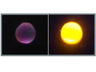 A fluorescent dye that works in superacidic environments